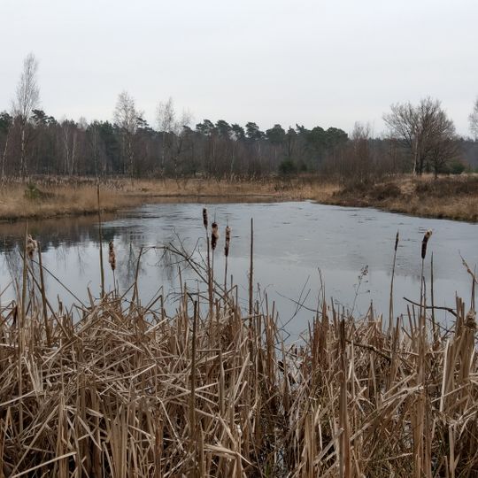 Elmpter Schwalmbruch