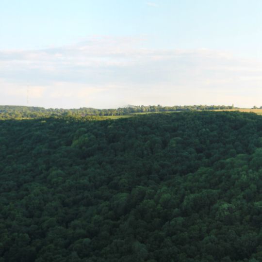 Скала «Соколів камінь»
