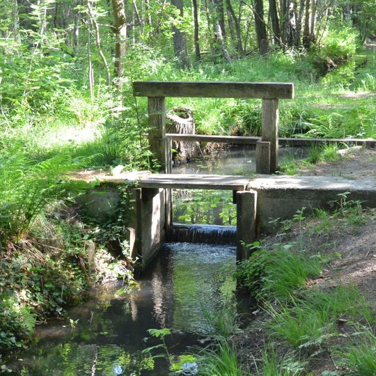 Altes Schleifer Teichgelände