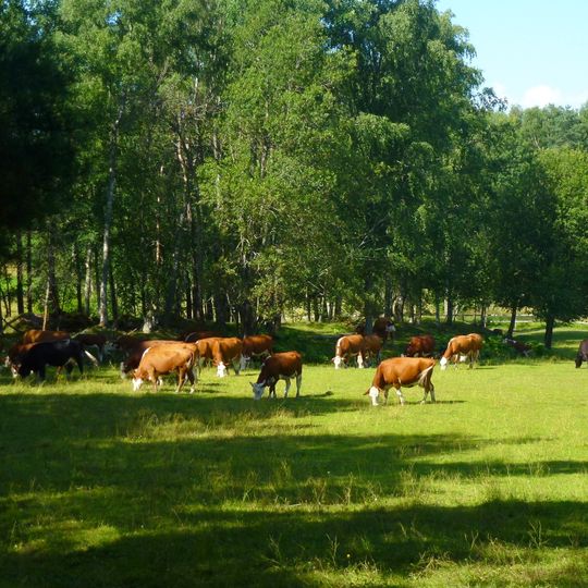 Östra Järvafältet