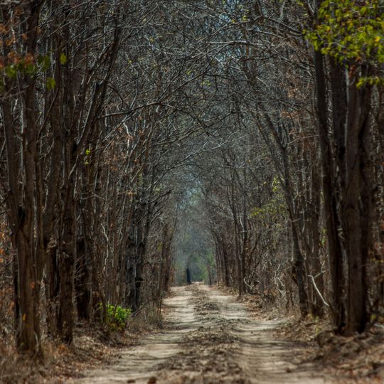Lagoa do Cajueiro State Park