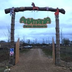 Anymania