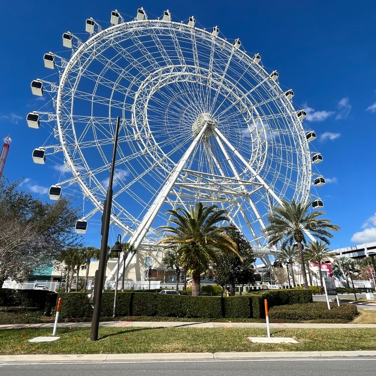 Orlando Eye