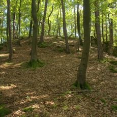 Burgstall Werdenstein