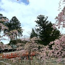 呑山観音寺