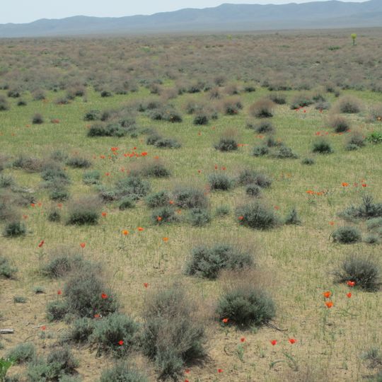 Distretto di Konimekh