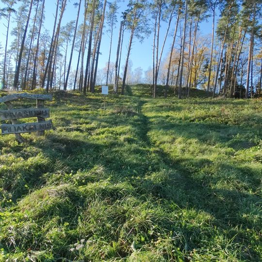 Pivašiūnai hillfort