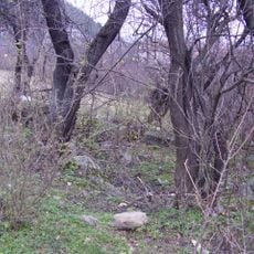 Свети Архангел Михаил (Слокощица)