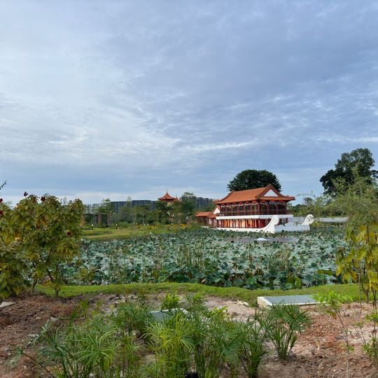 Chinese Garden