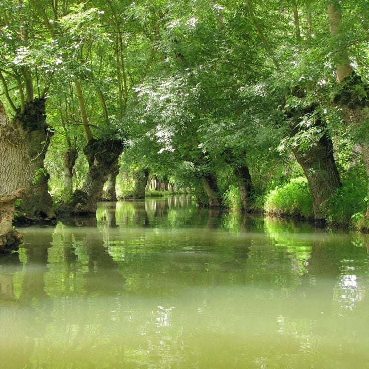 Maison du Marais Poitevin