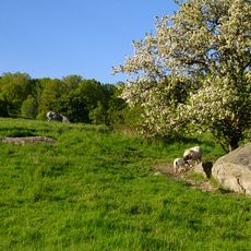 Västerby lövskogar