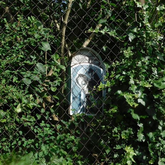 Obrázek Panny Marie v zahradě domu č. 5/10 v místní části Týn v Třebíči