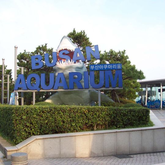 Busan Aquarium