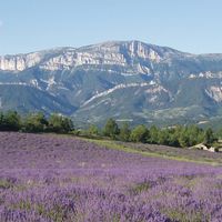 Drôme