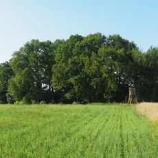 Milanwäldchen Rähnitz