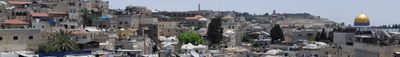 Panoramic View 1