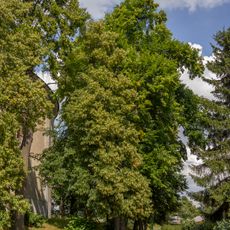 Lípy u kaple Navštívení Panny Marie