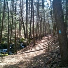 Paugussett Trail