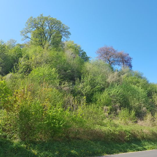 Groeve onder het Rotspark