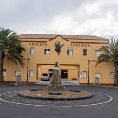 Bodegas Teneguia