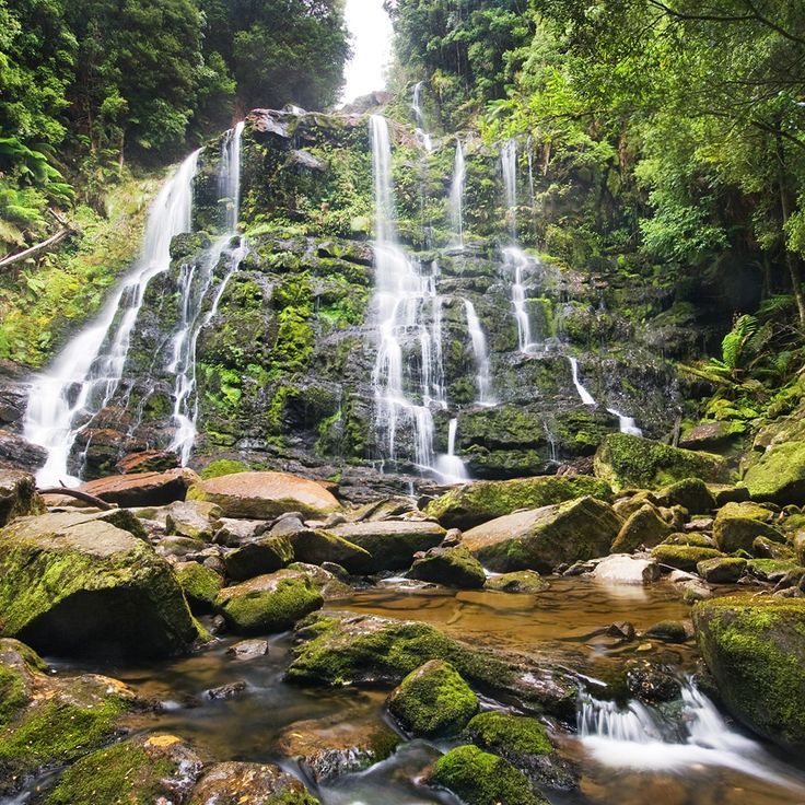 Rivières Franklin-Gordon