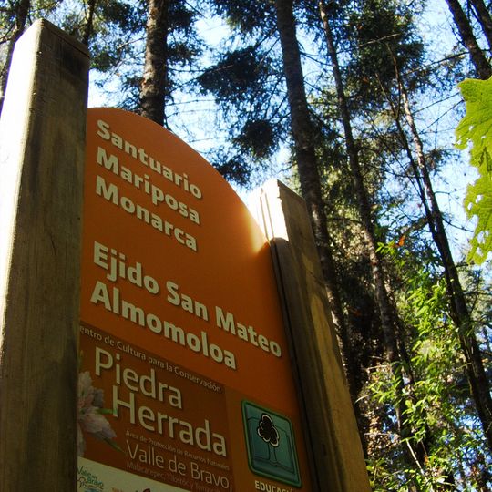 Monarch Butterfly Biosphere Reserve