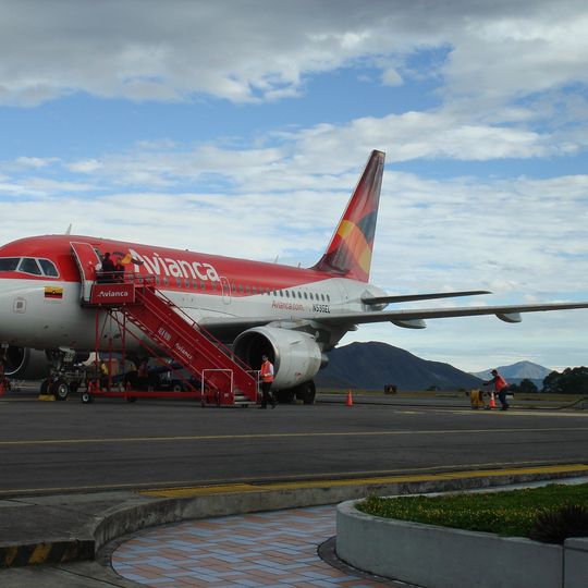 Antonio Narino Airport