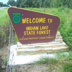 Indian Lake State Forest