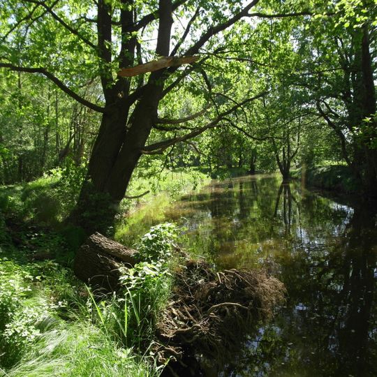 Große Röder zwischen Großenhain und Medingen