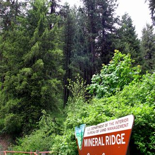 Mineral Ridge National Recreation Trail, Idaho