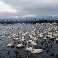 Lake Hyōko