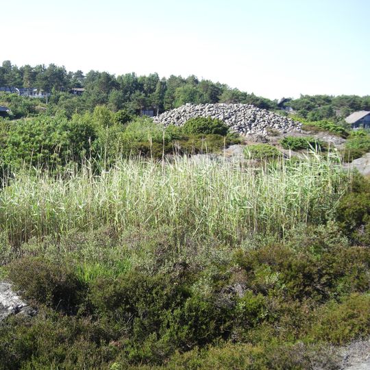 Kalvehagneset