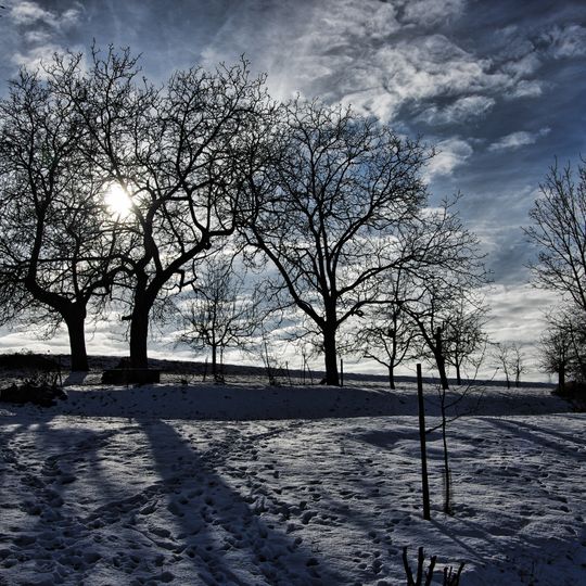 Alter Neckarbogen bei Kirchheim am Neckar, Hofen und Hohenstein mit angrenzenden Gebieten