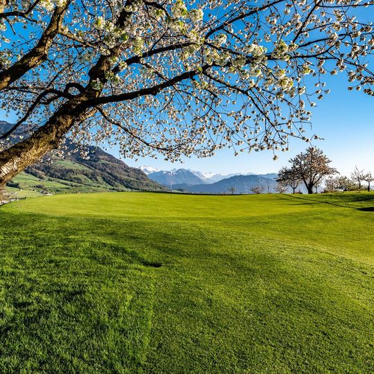 Golfclub Küssnacht