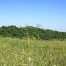 Тернівський