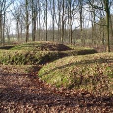 Tumuli of Toterfout-Halve Mijl