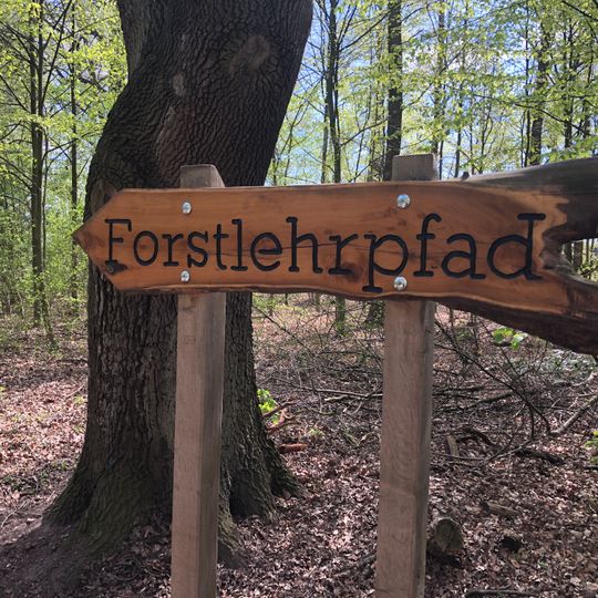 Forstlehrpfad Mecklenheider Forst