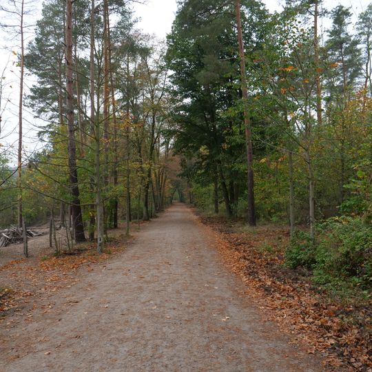 Schildhornweg