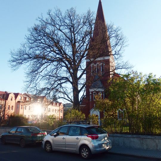 Dub sv. Petra a Pavla