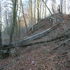 Nature reserve Buki nad jeziorem Lutomskim
