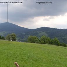 Wojewodowa Góra
