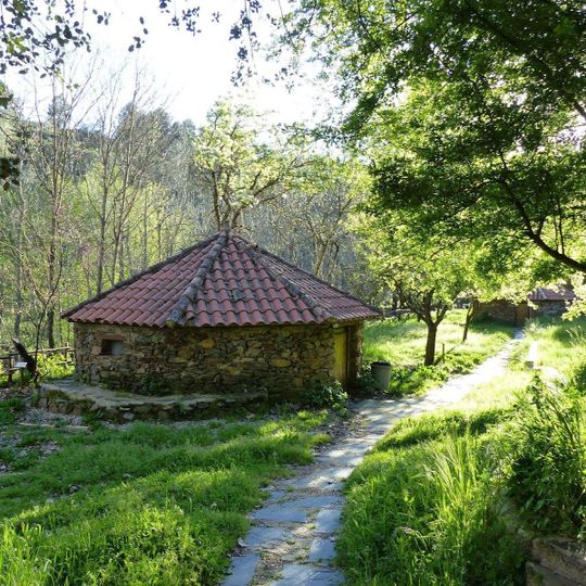 La Escuela del Bosque