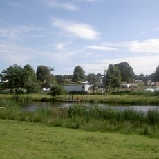 Henham Park
