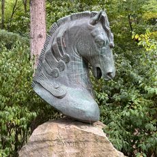 Amiral / tête de cheval