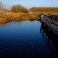 Leipheimer und Günzburger Moos