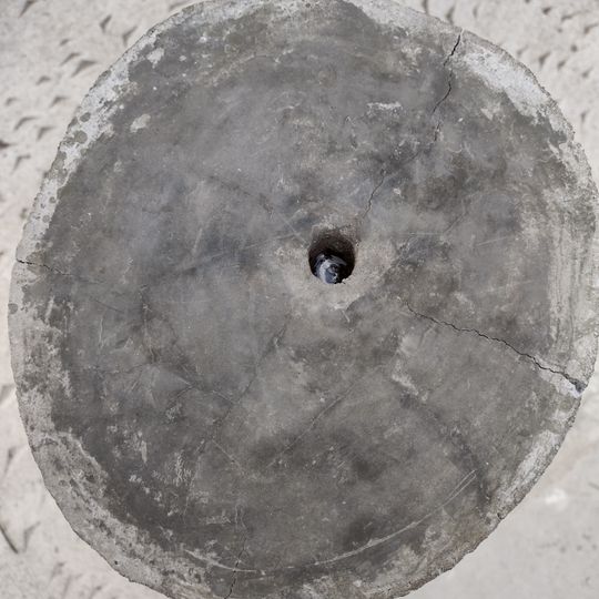 Bebedouro Tronco de Arvore da Quinta da Boa Vista