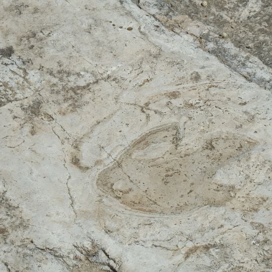 Yacimiento Tambuc Este