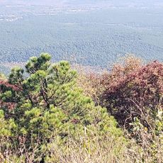McCurtain County Wilderness Area