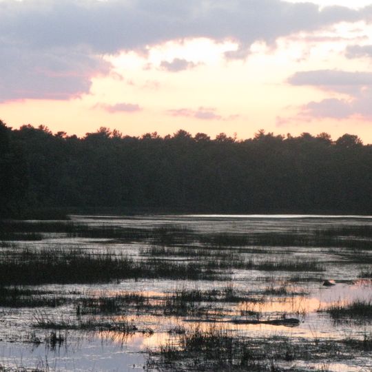 Bass River State Forest