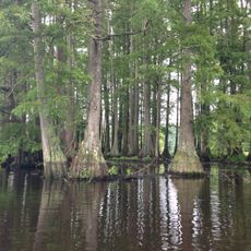 Trap Pond State Park
